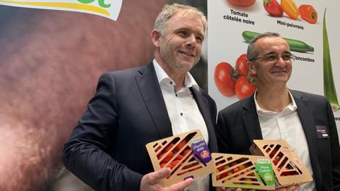 Pierre-Yves Jestin, président de Savéol (à g.), et Ronan Loison, son nouveau DG, présentent les emballages cartons recyclables. © H. LAURANDEL